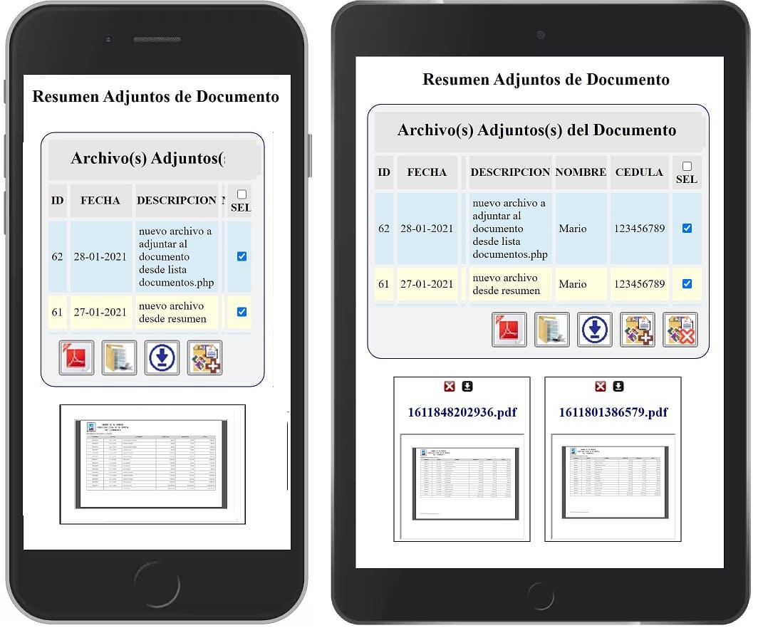 Adaptación del Formato a telefonos celulares y tablets