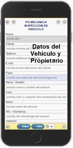 Ingresa los datos de identificación del vehículo