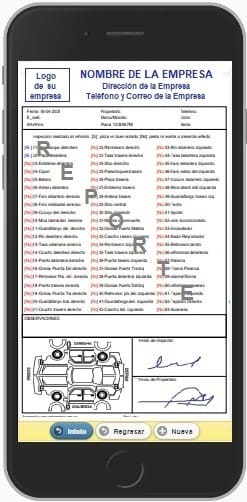 página Nro.1 del reporte de inspección